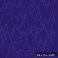 羽毛球爱好者